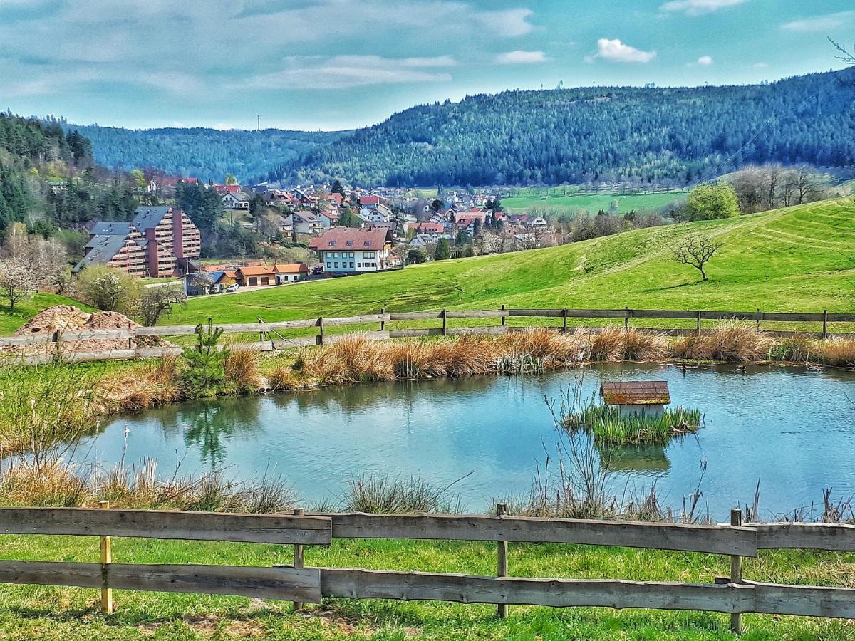 Apartamento Schwarzwald Woelkchen Baiersbronn Exterior foto