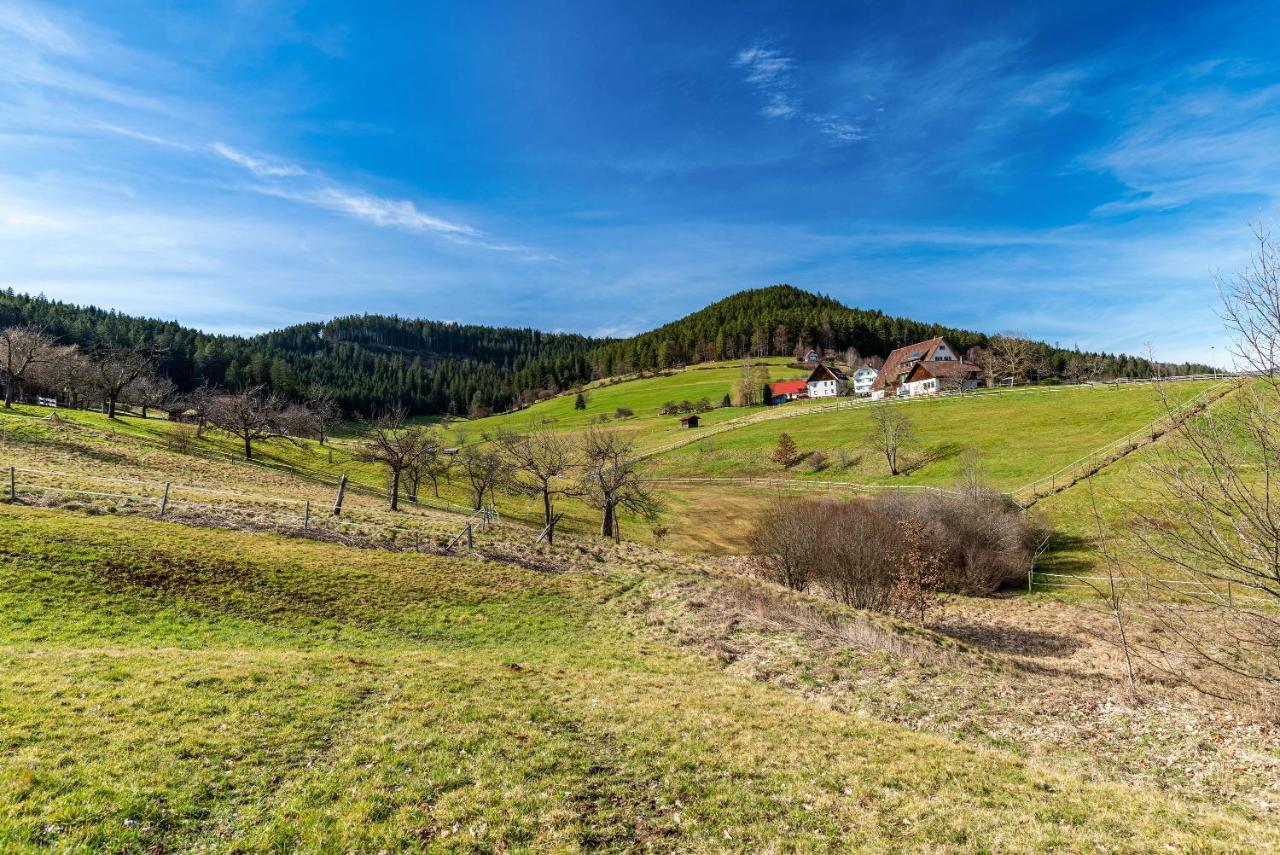 Apartamento Schwarzwald Woelkchen Baiersbronn Exterior foto